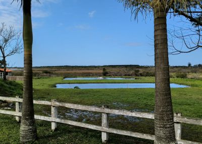 Clínica de Recuperação no Paraná Villa Flor